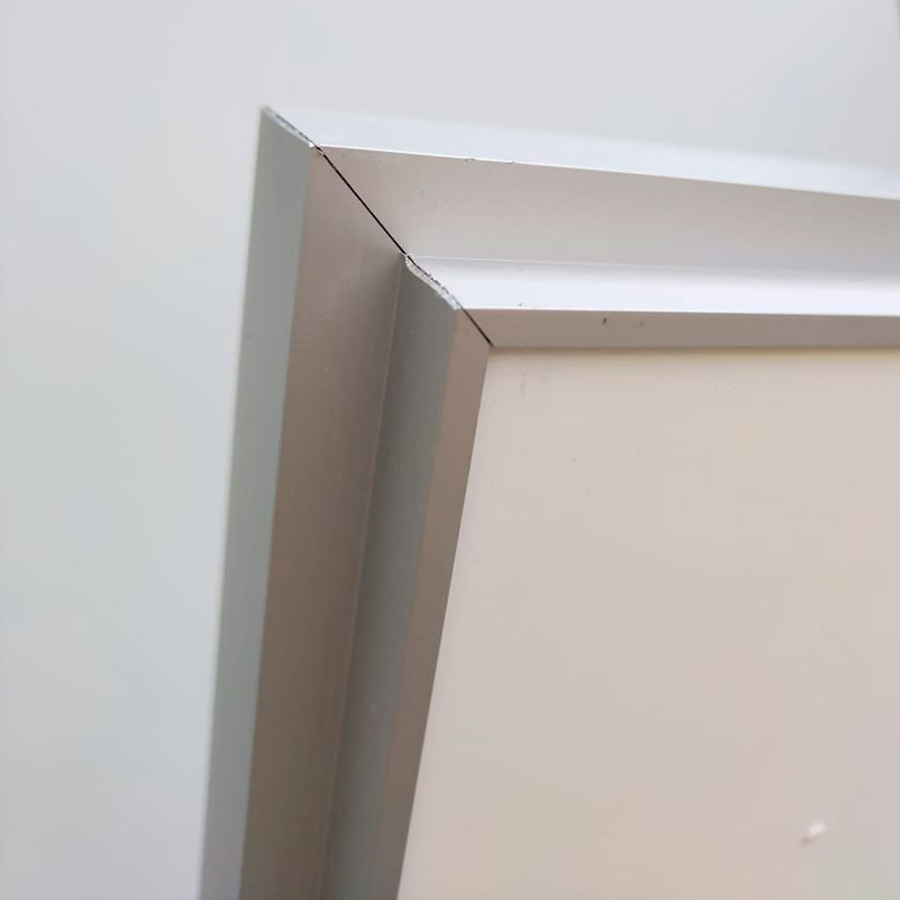 INVISIBLE Zr1 Reverse